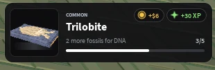 Trilobite fossil reward shown after a dig